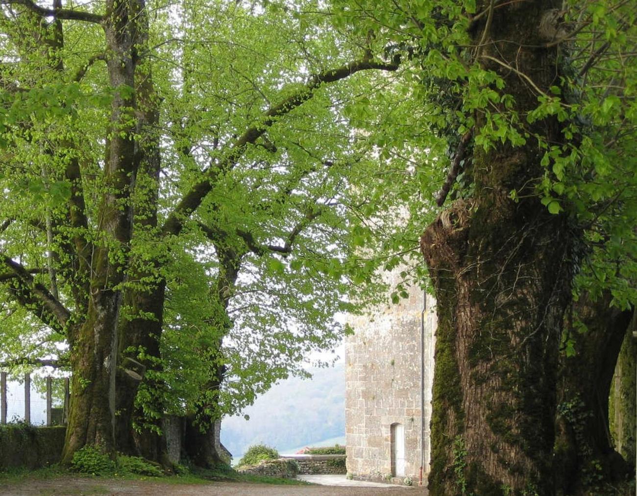 Bevau - B&B Bio Trampot Esterno foto